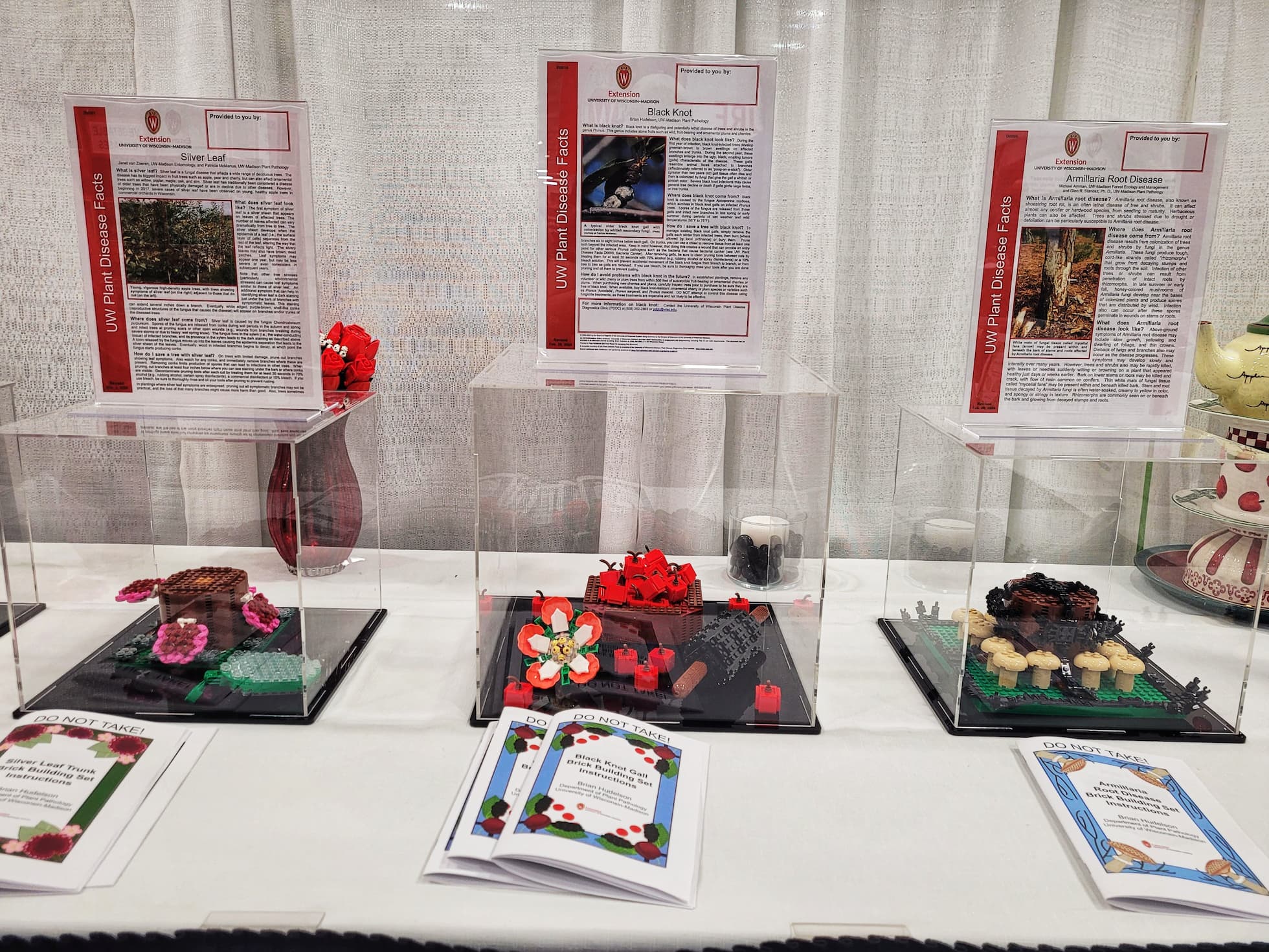 photo of lego plant disease display at pbs garden expo