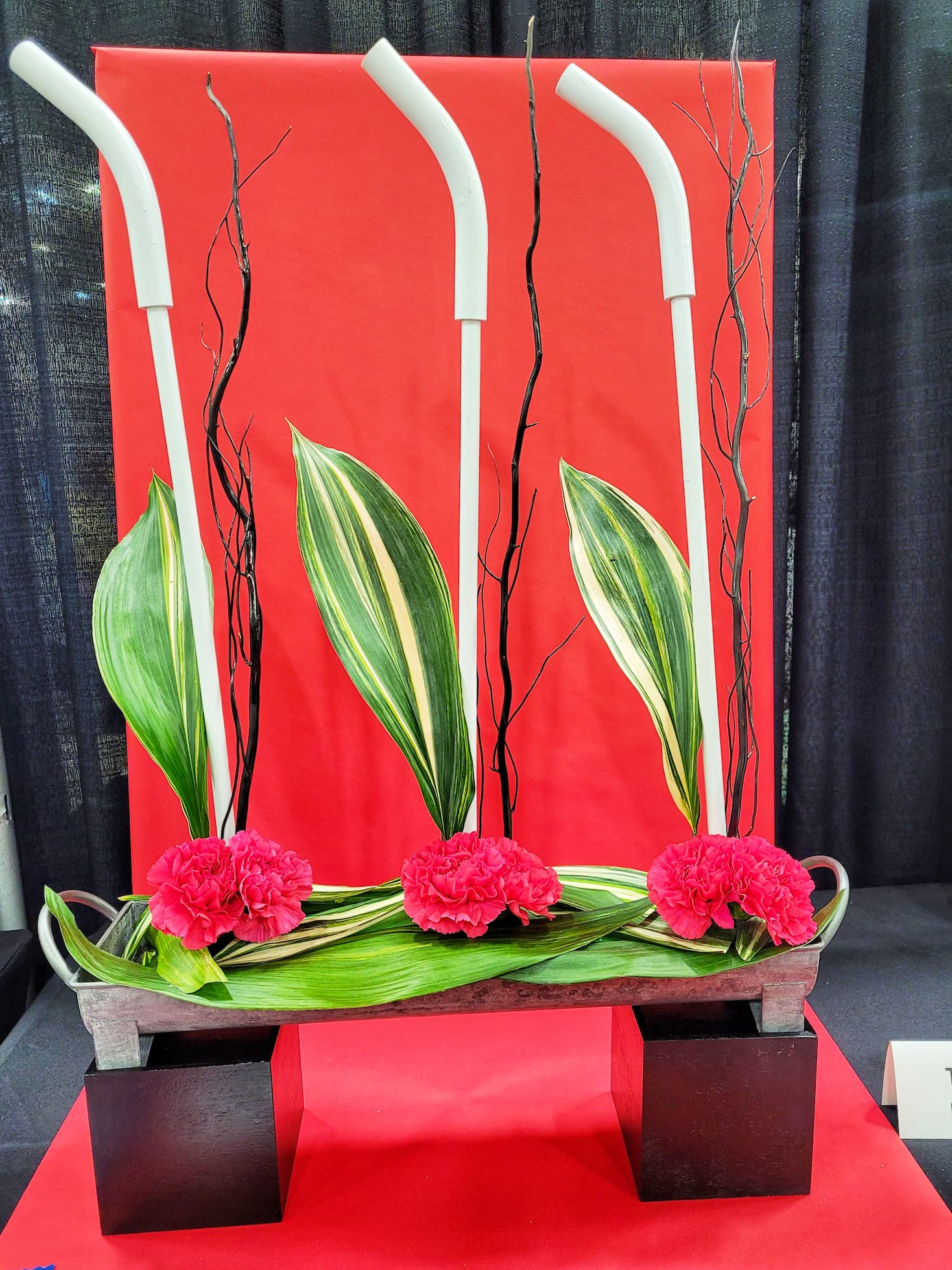 photo of flower show entry at pbs garden entry