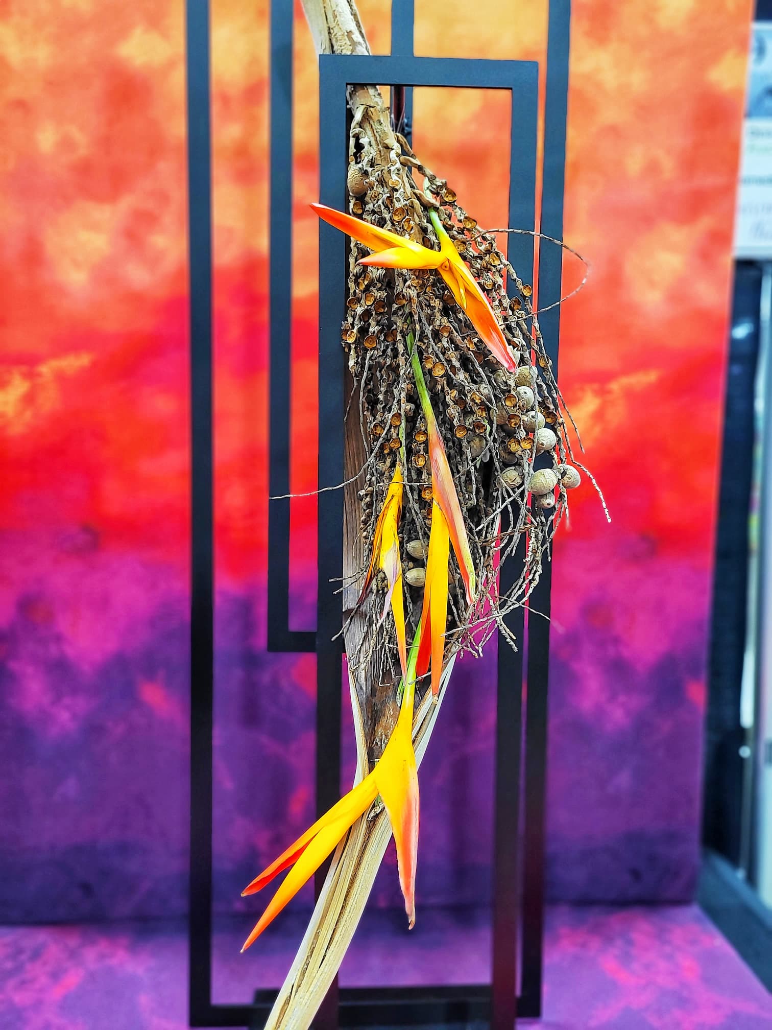 photo of flower show entry at pbs garden entry