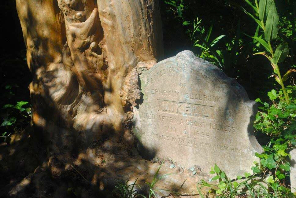 photo of charleston unitarian cemetery