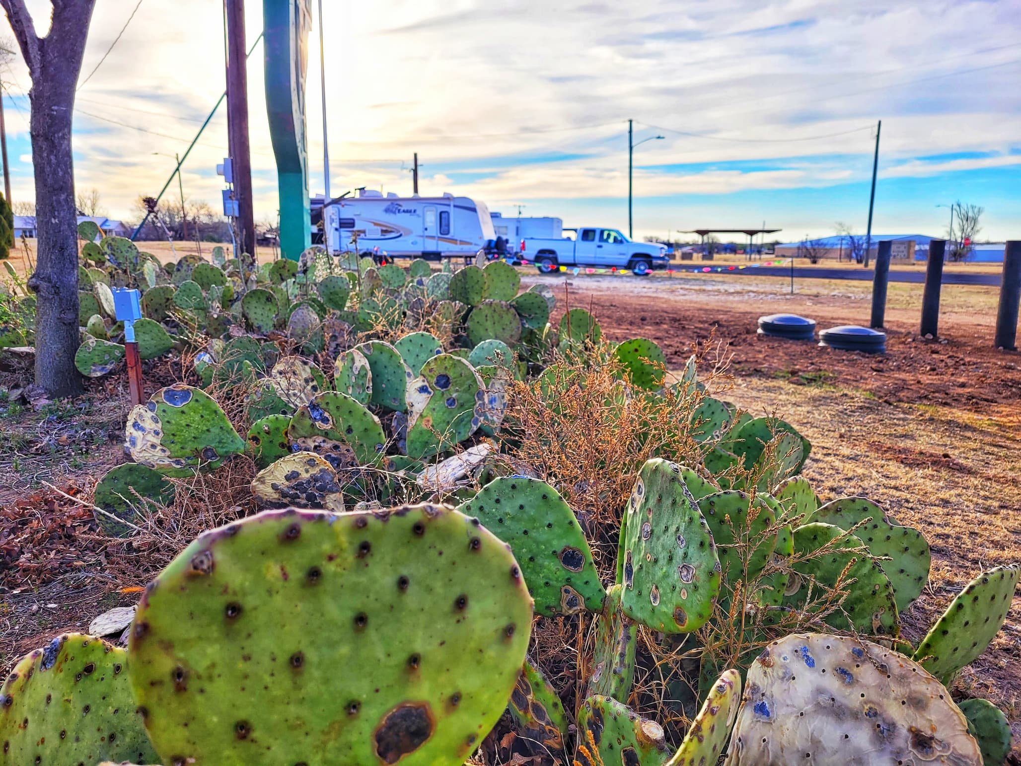photo of our rv at cactus inn motel