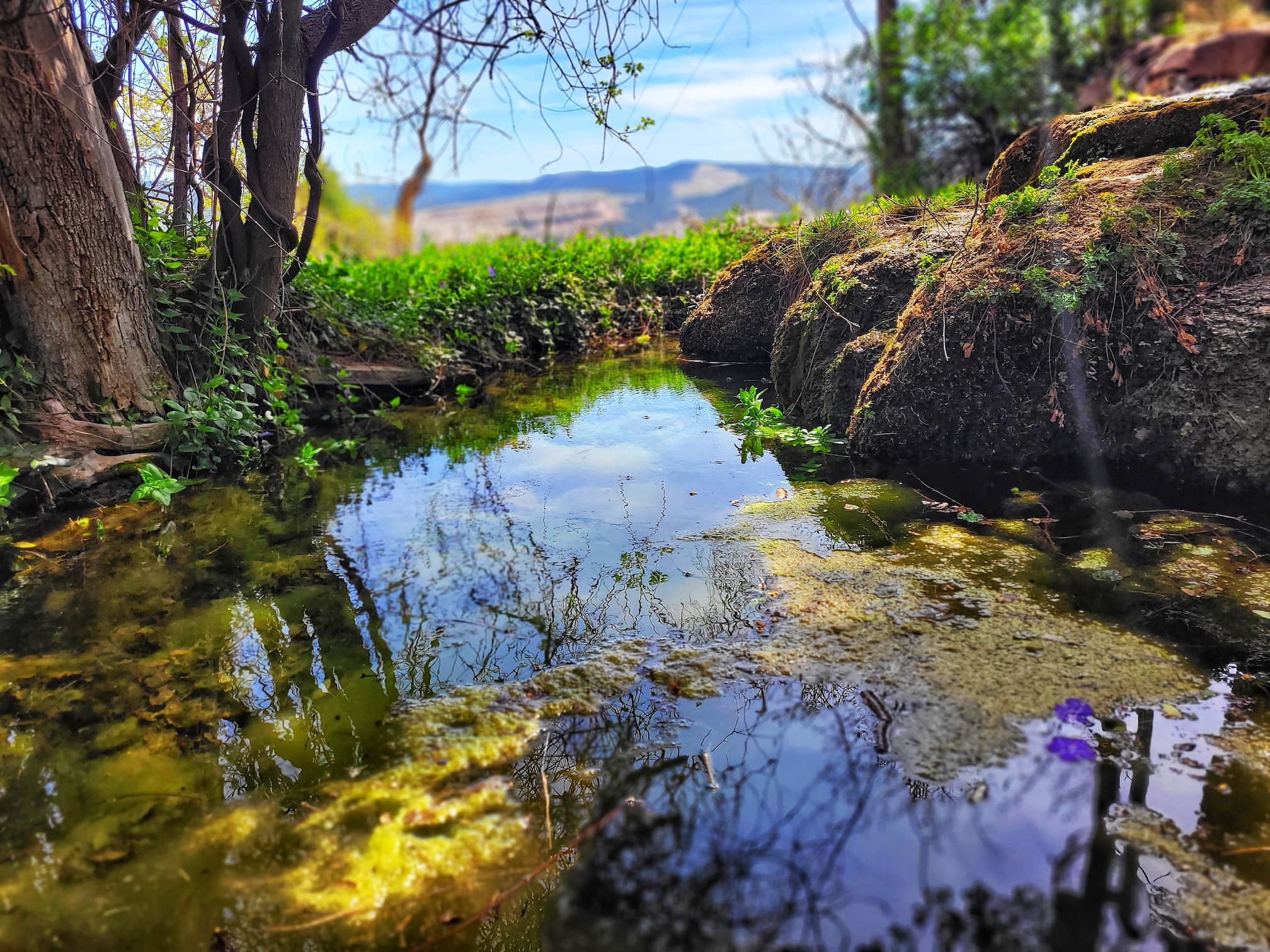 photo of carlito springs