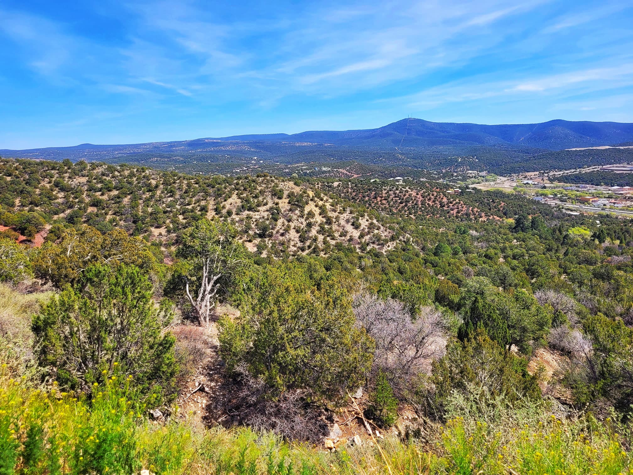A Week in Albuquerque: Route 66 Stops, Petroglyphs & Bandelier