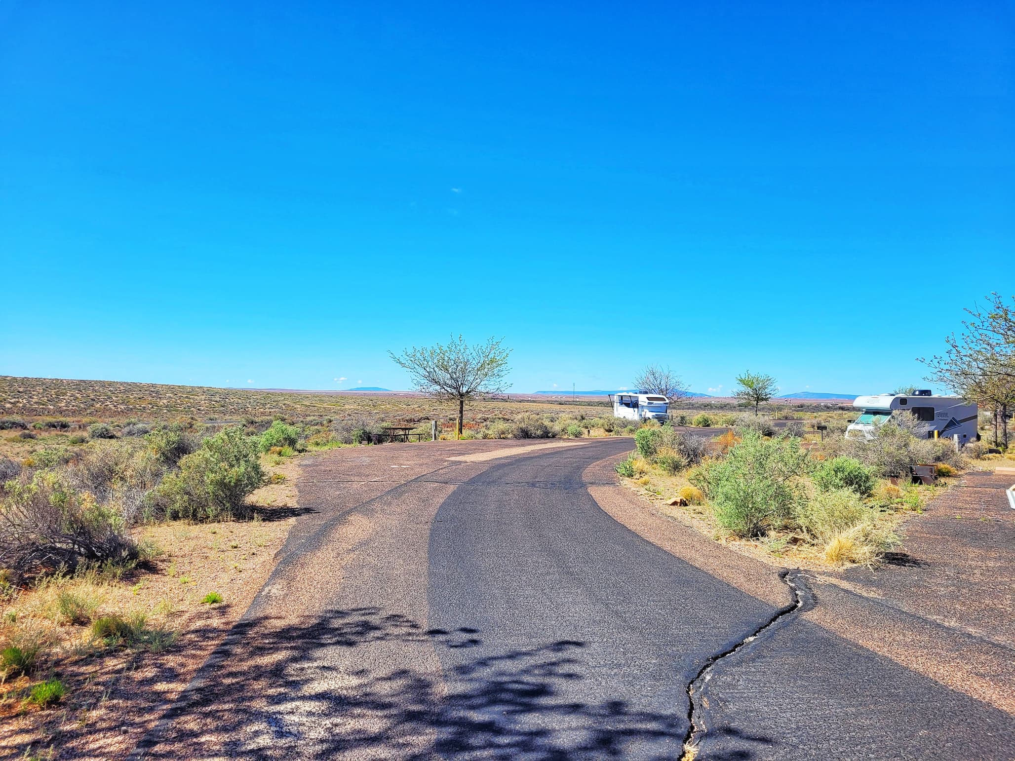 photo of homolovi state park camground