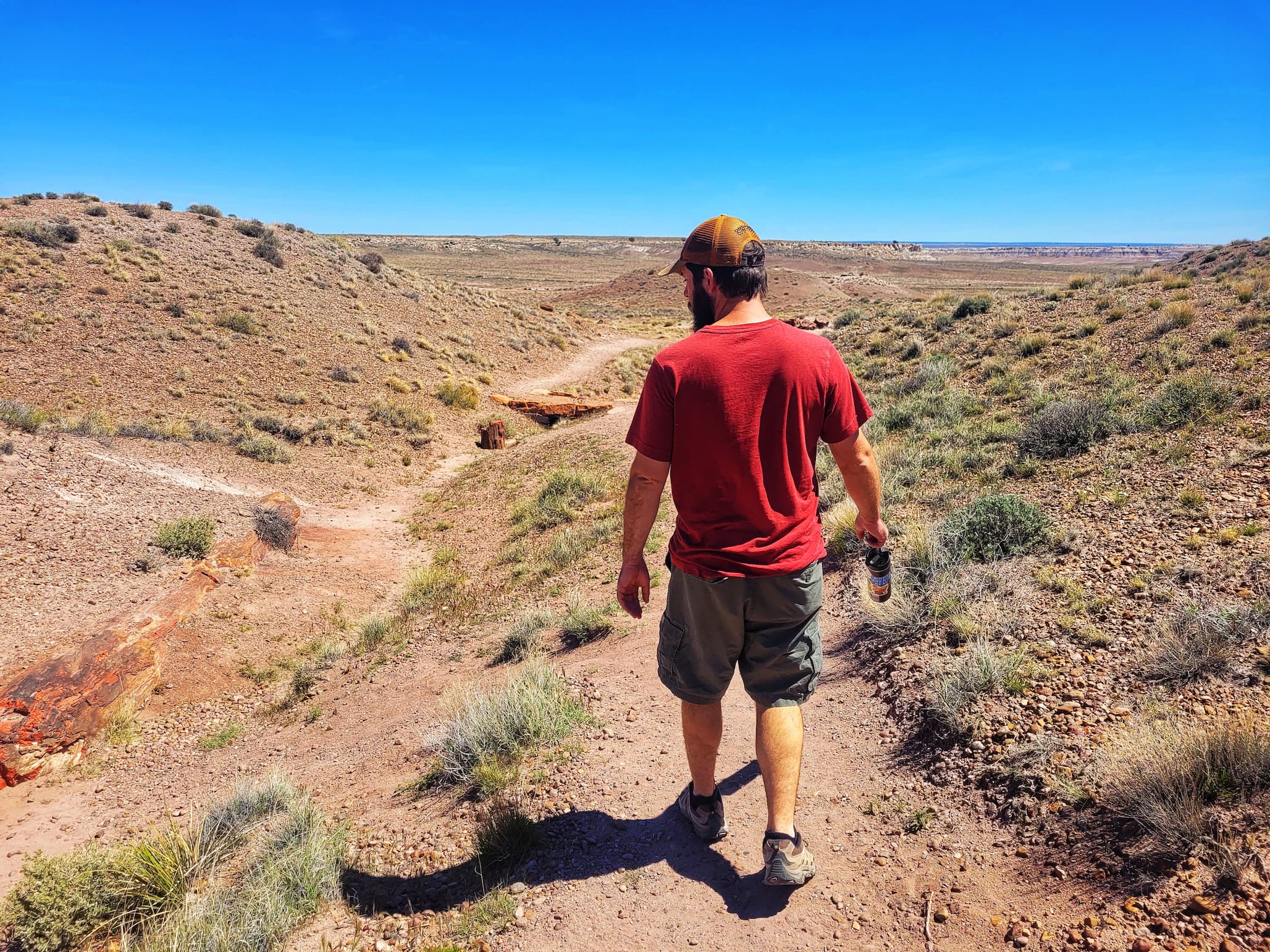 photo of josh hiking in petrified forest national park