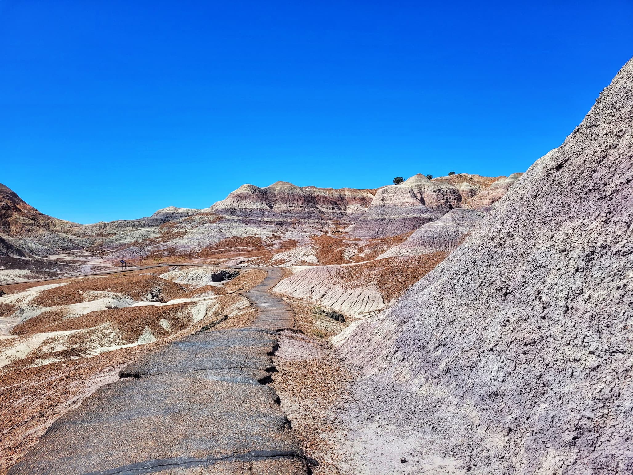 photo of blue mesa trail
