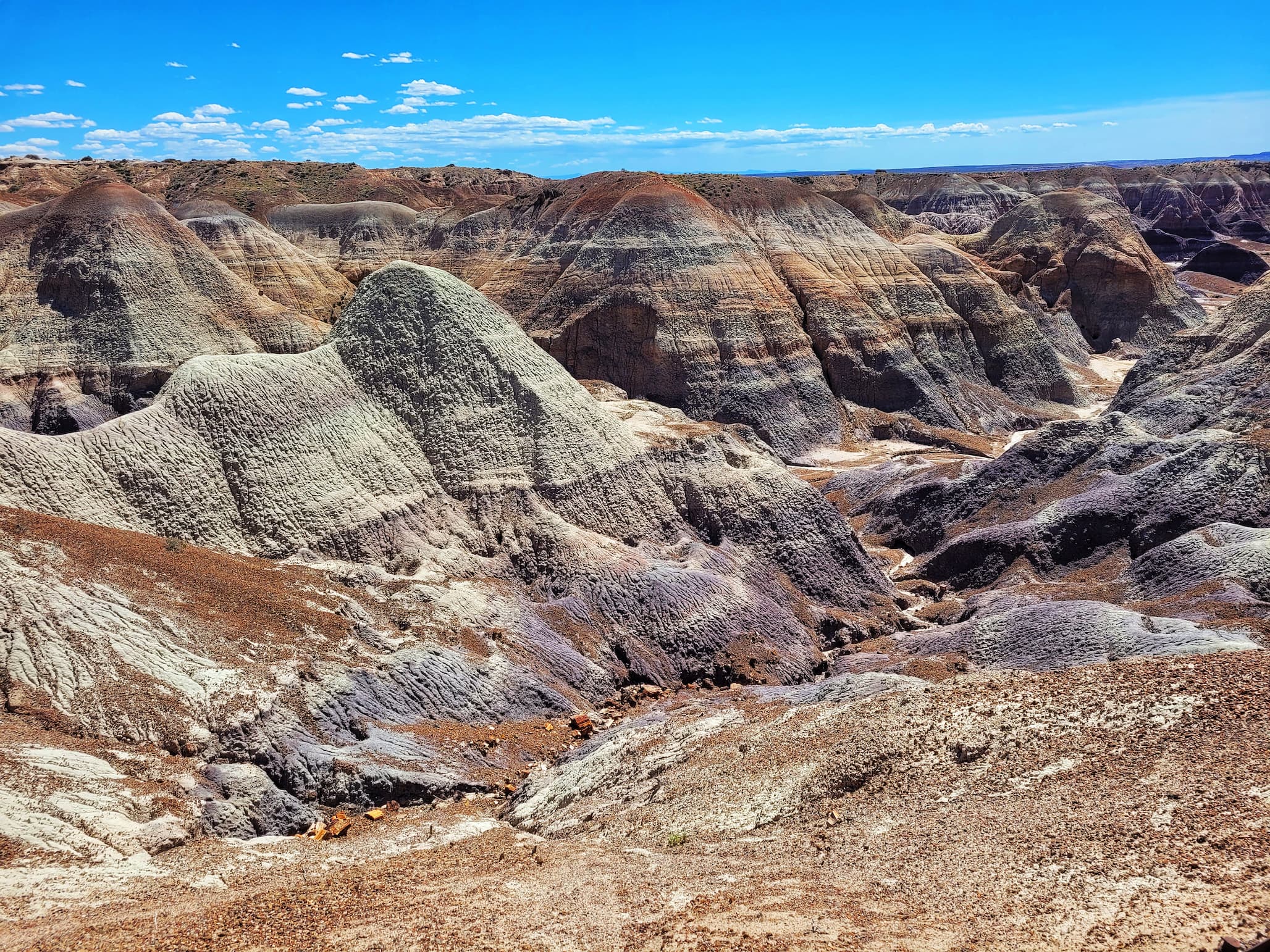 photo of blue mesa area of petrified forest national park