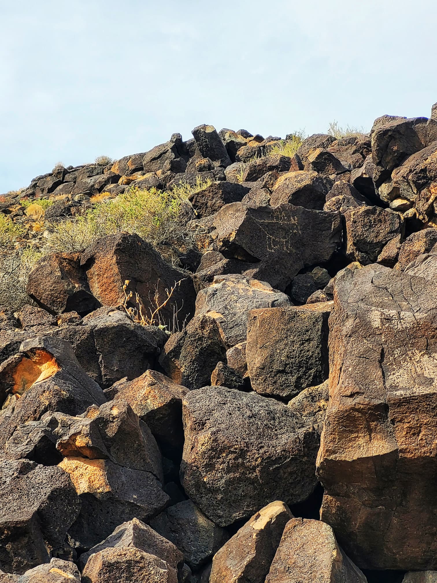 photo of petroglyphs national monument