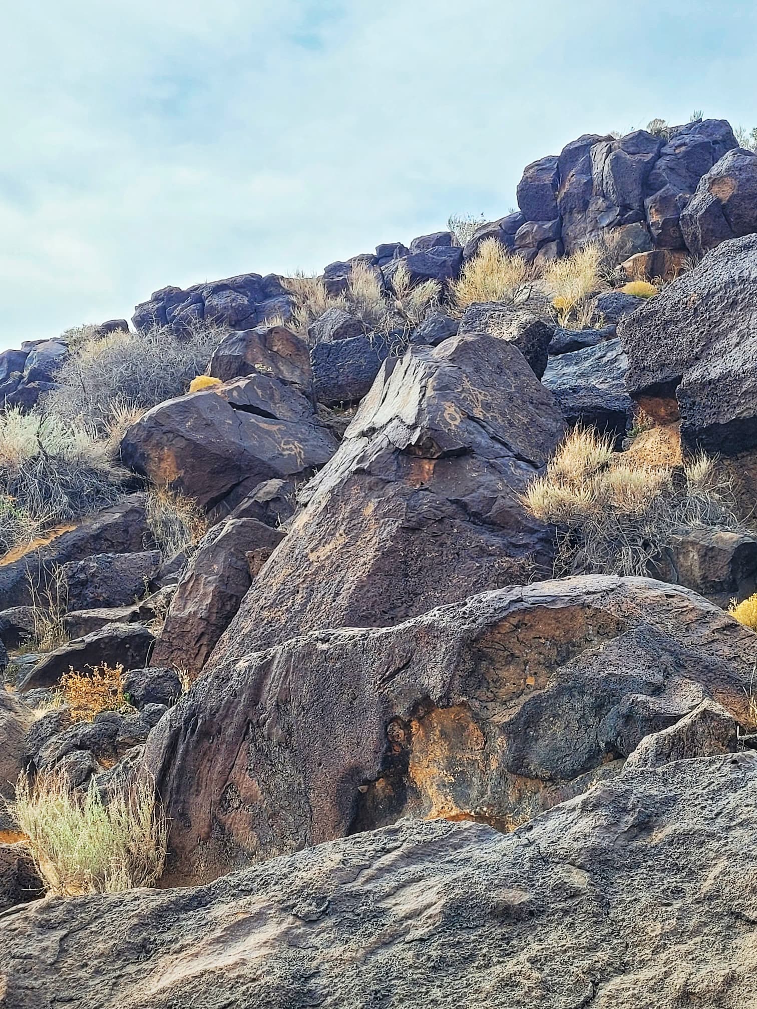 photo of petroglyphs national monument