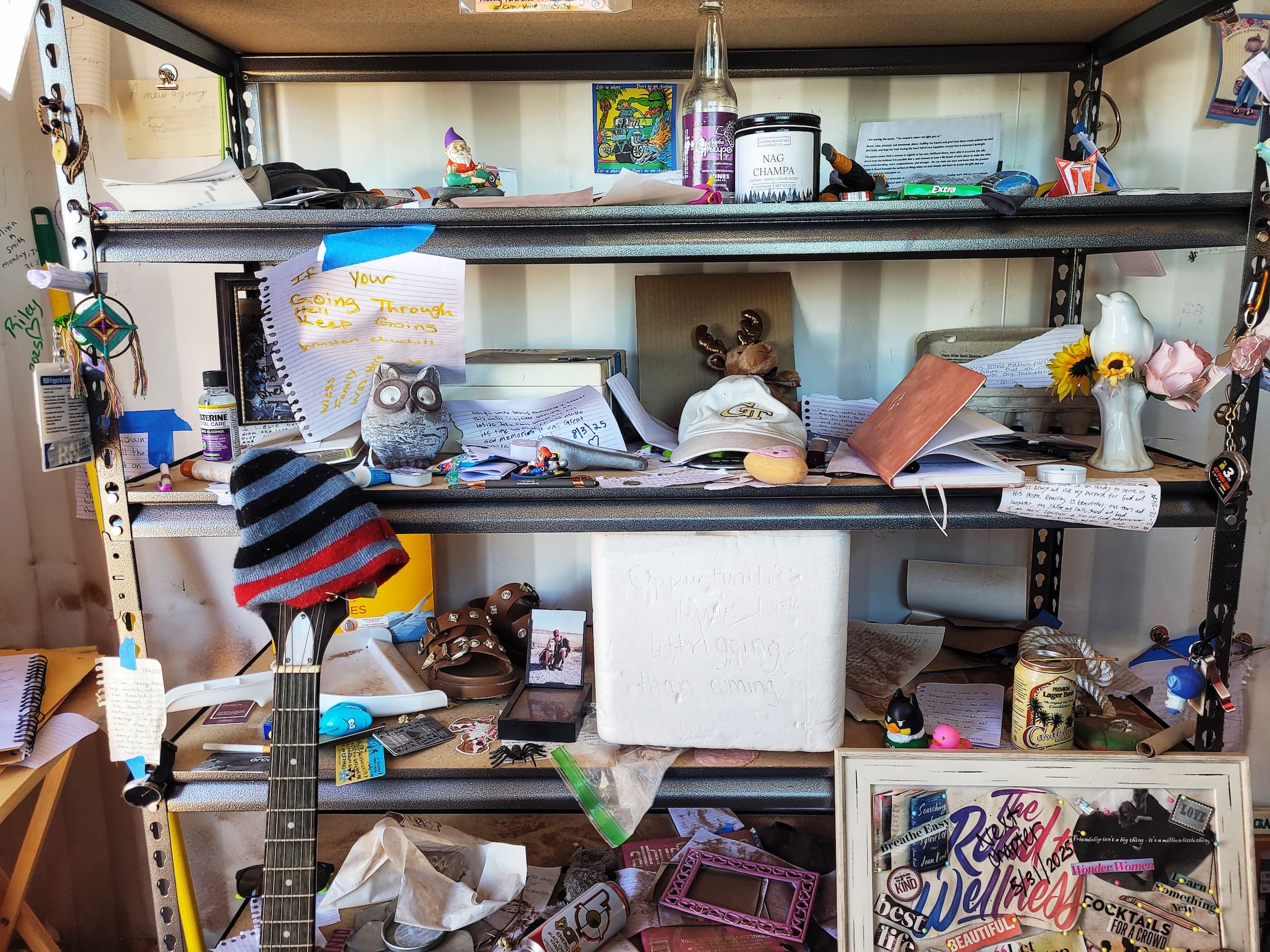photo of inside the plotz plot