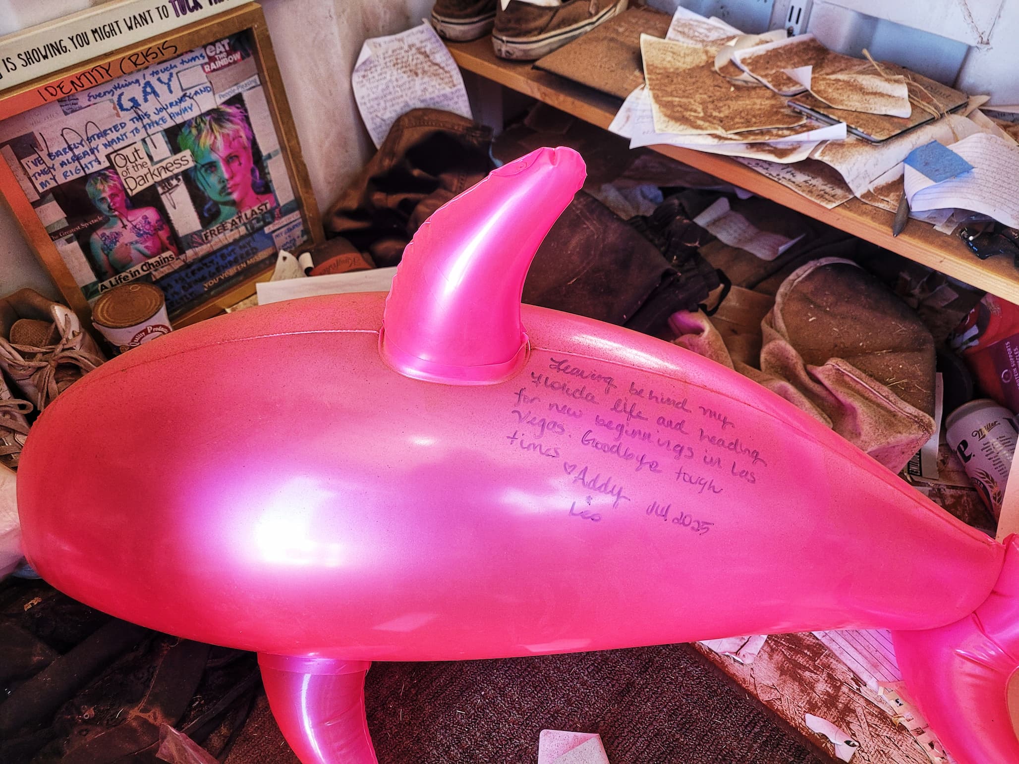 photo of inside the plotz plot