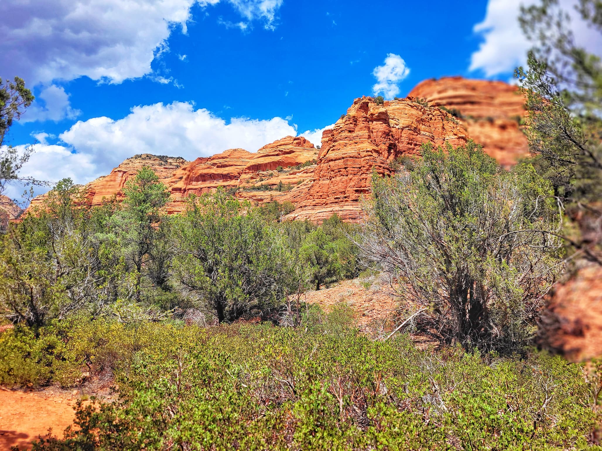 photo of sedona red rocks