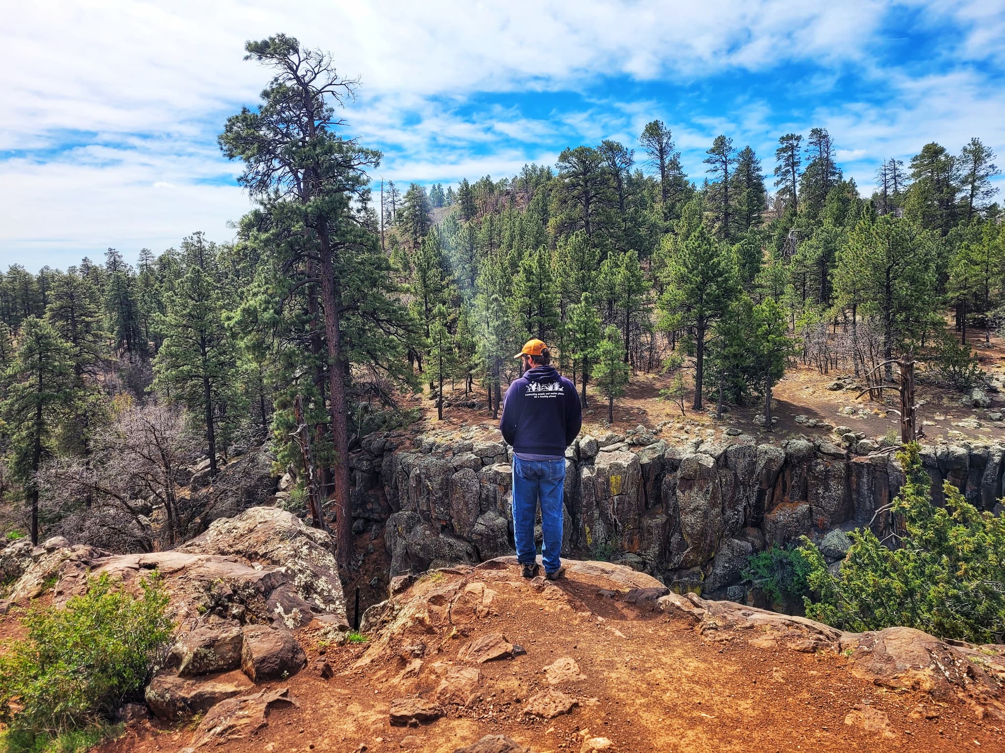 A Week Near Flagstaff: Hidden Gems, Crowds, and Unexpected Favorites