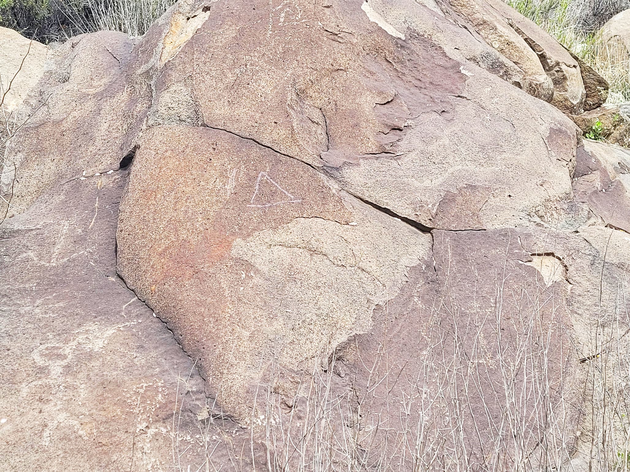 photo of petroglyphs at picture canyon preserve