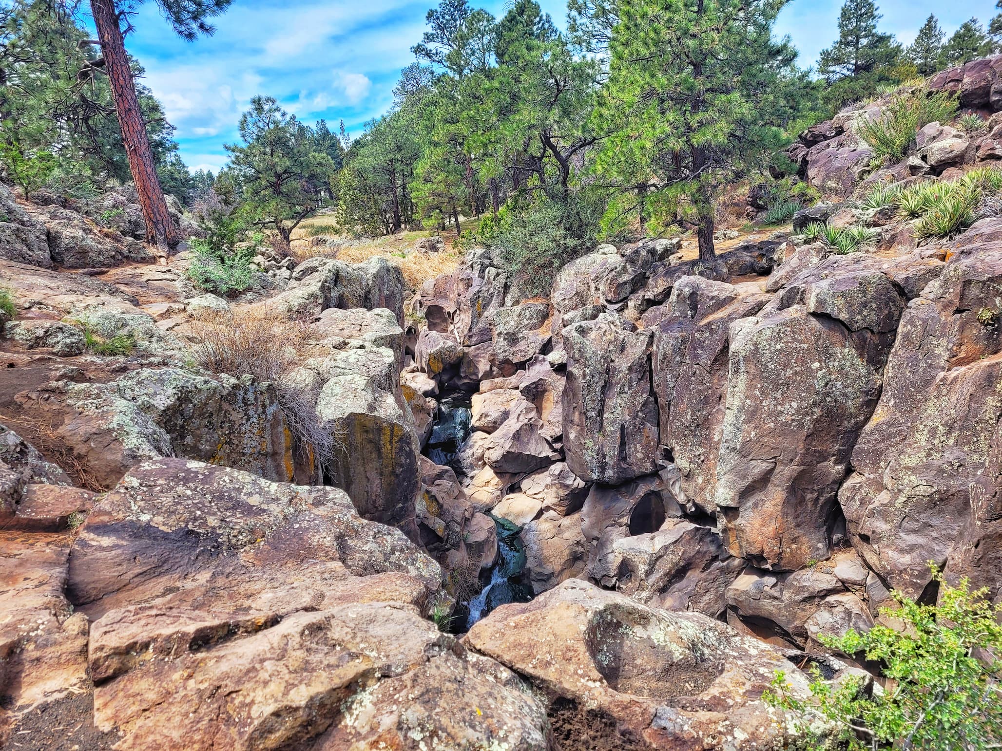 photo of flagstaff's only waterfall