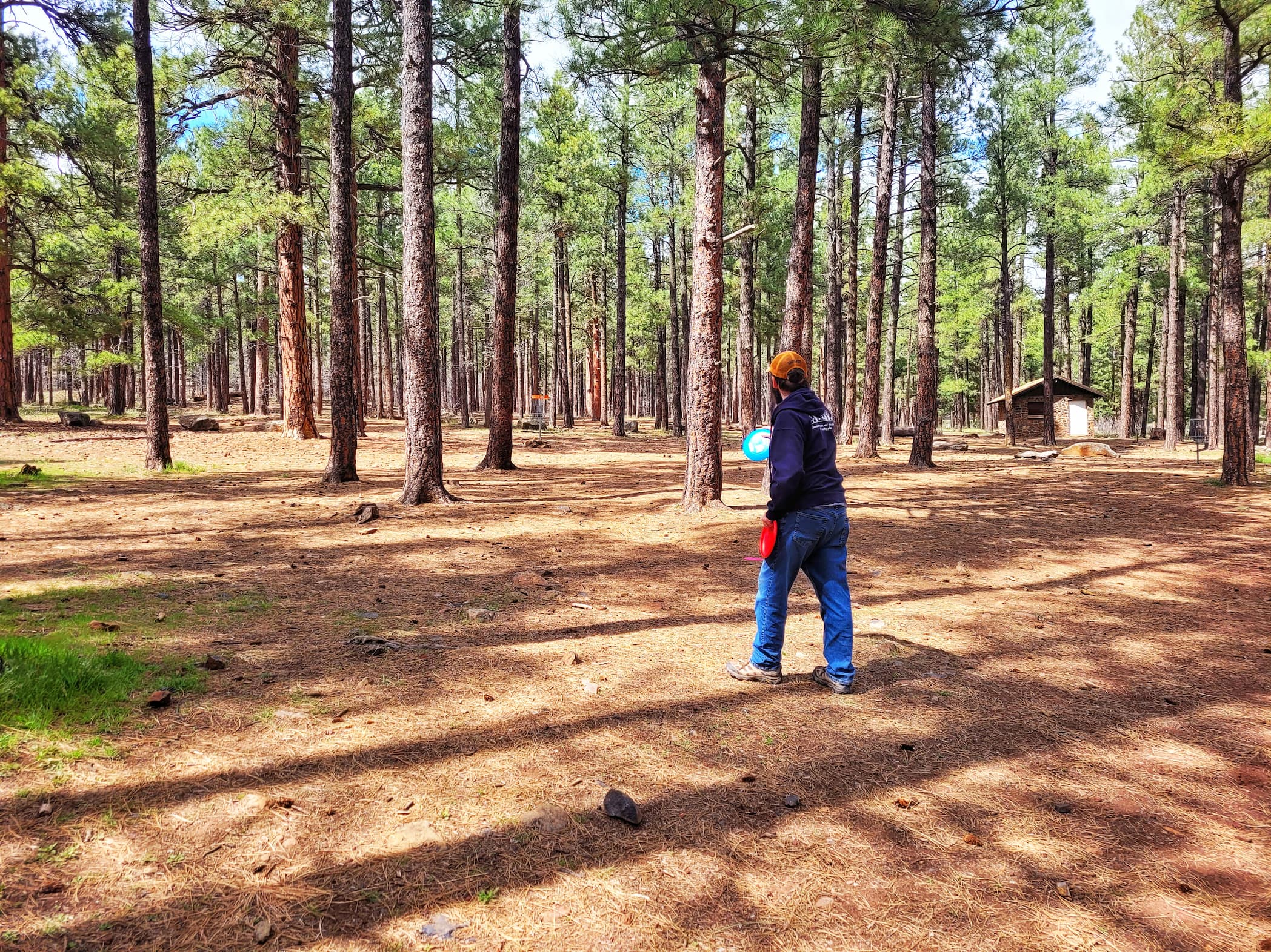 photo of josh playing disc golf at thorpe park