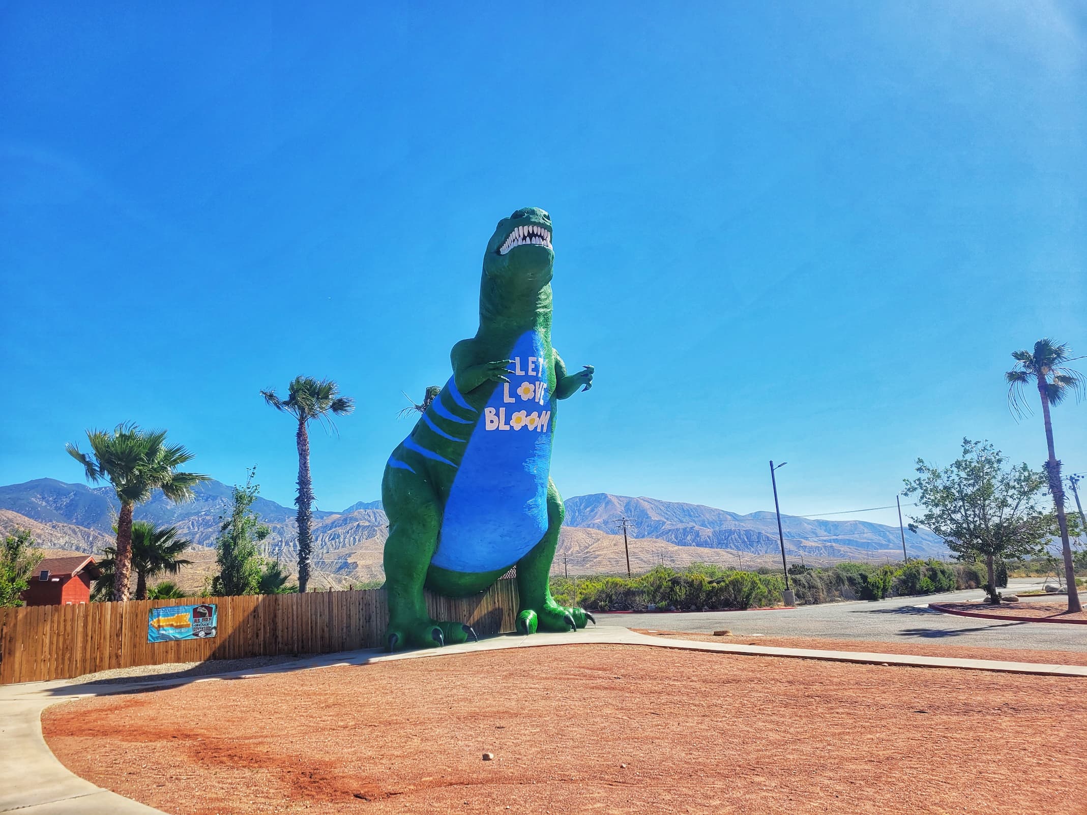 photo of mr rex