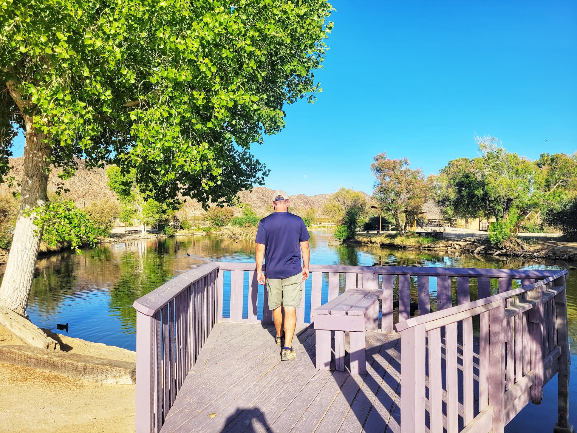 photo of josh at joshua tree lake campground lake