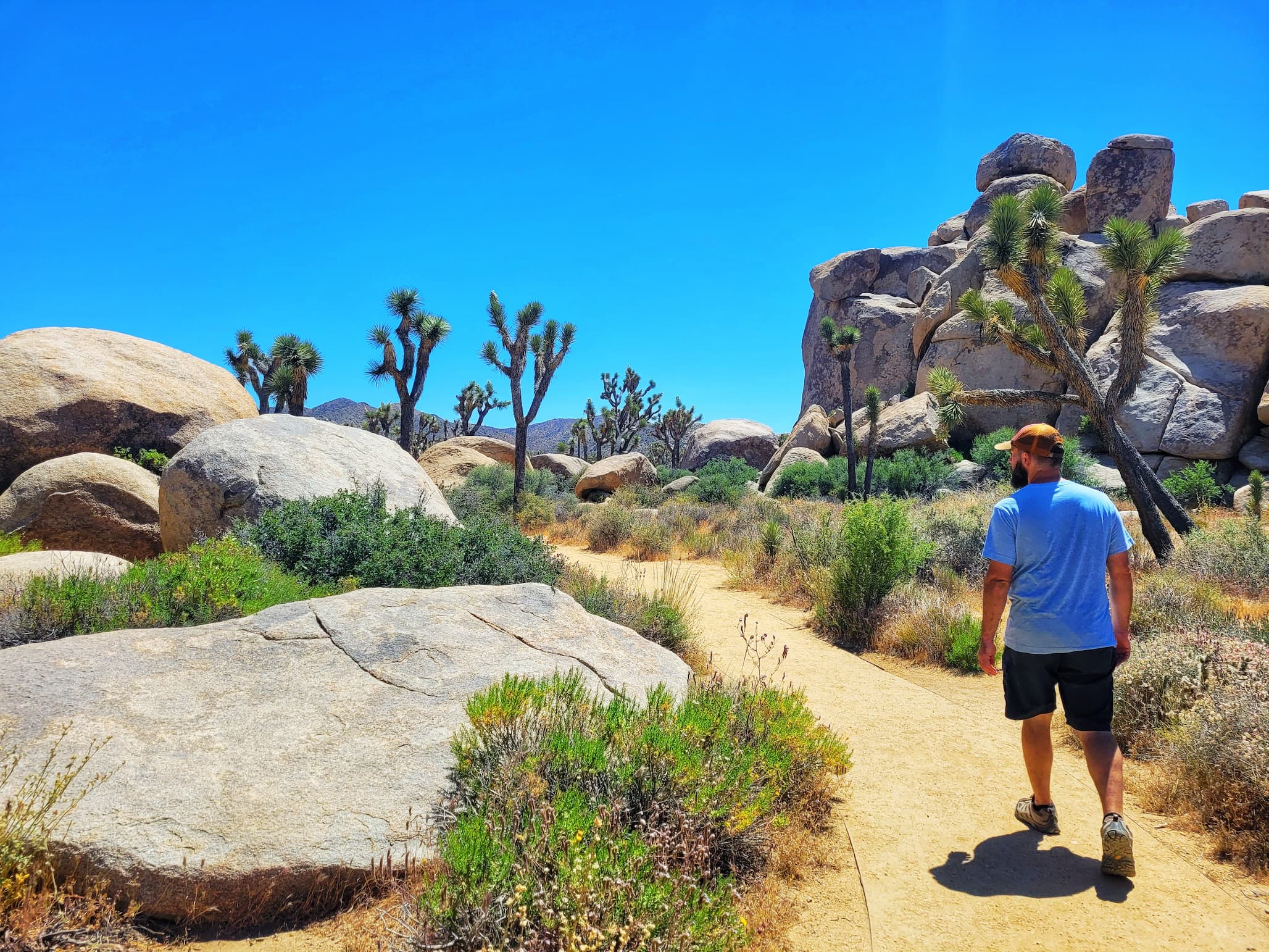 photo of cap rock nature trail