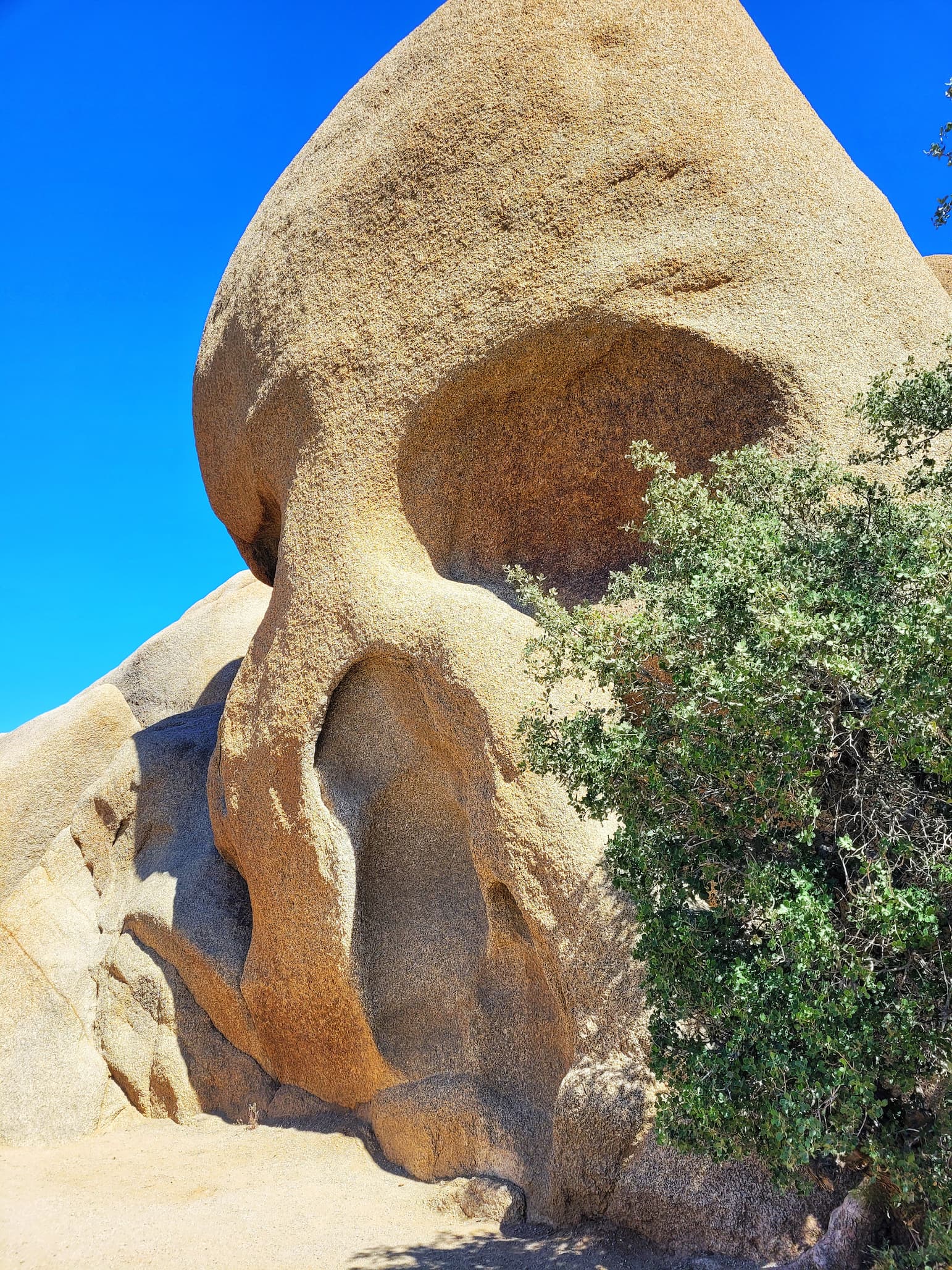 photo of skull rock
