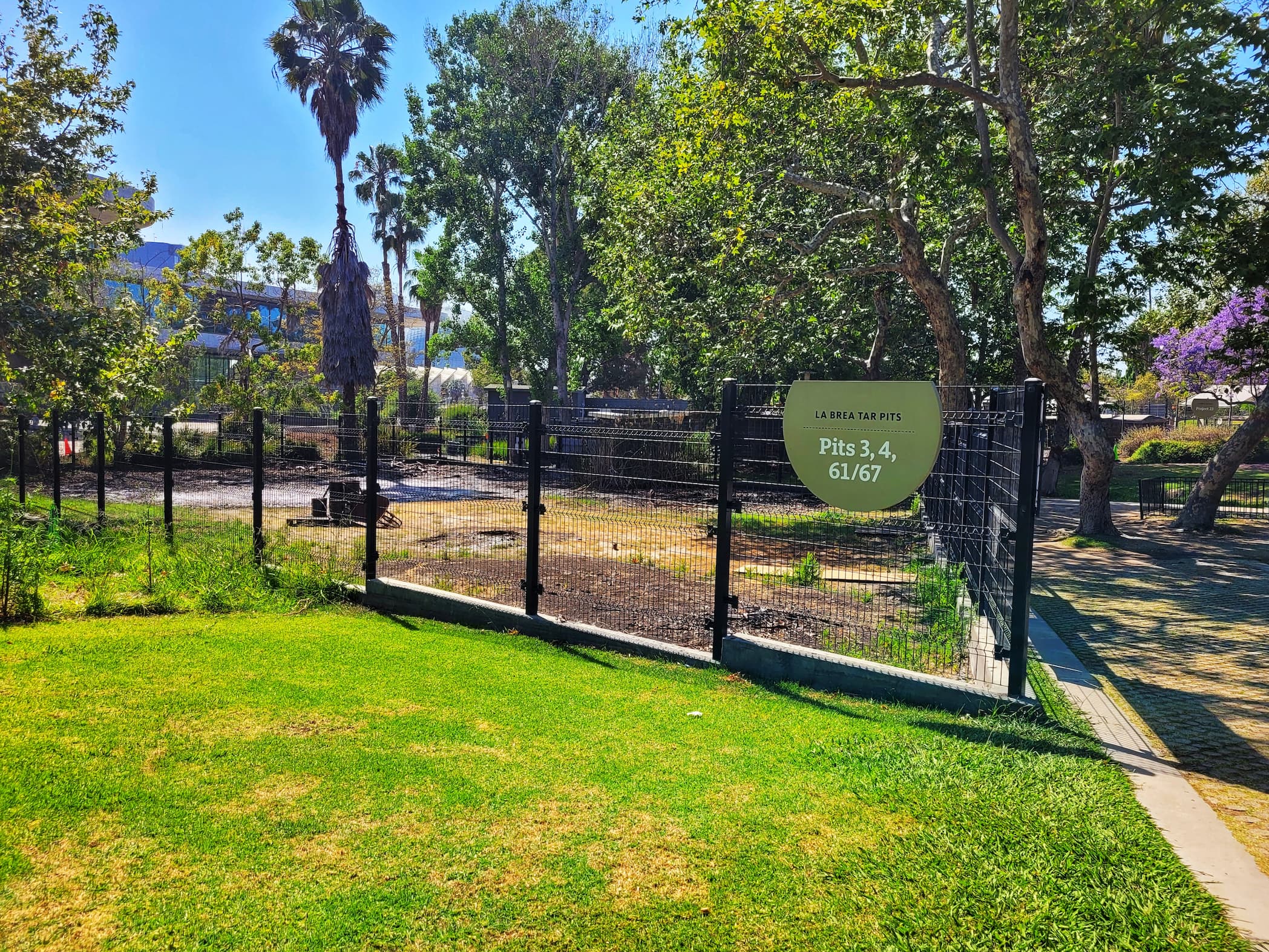 photo of la brea tar pits 3, 4, 61/67