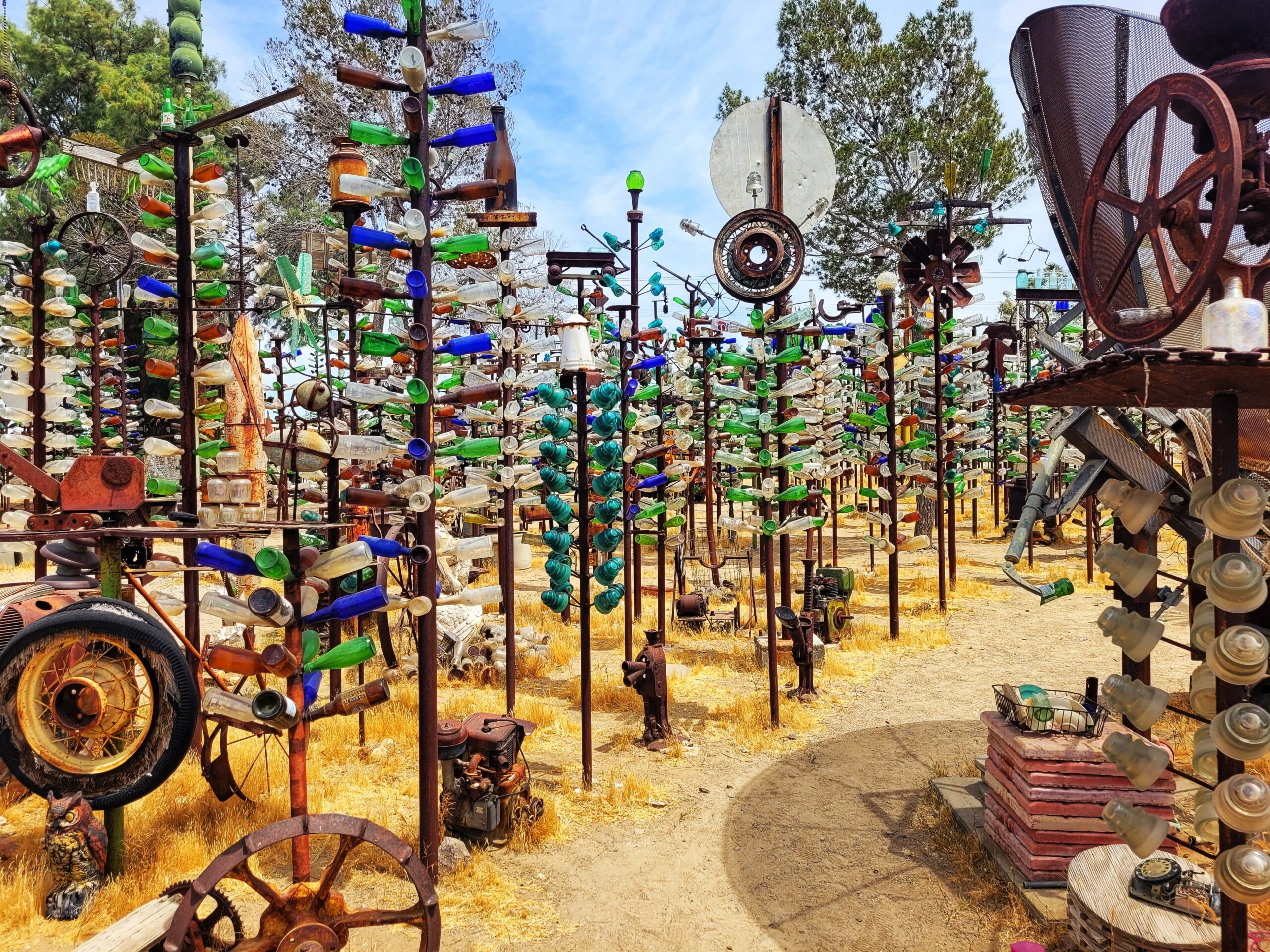 photo of elmer's bottle tree ranch