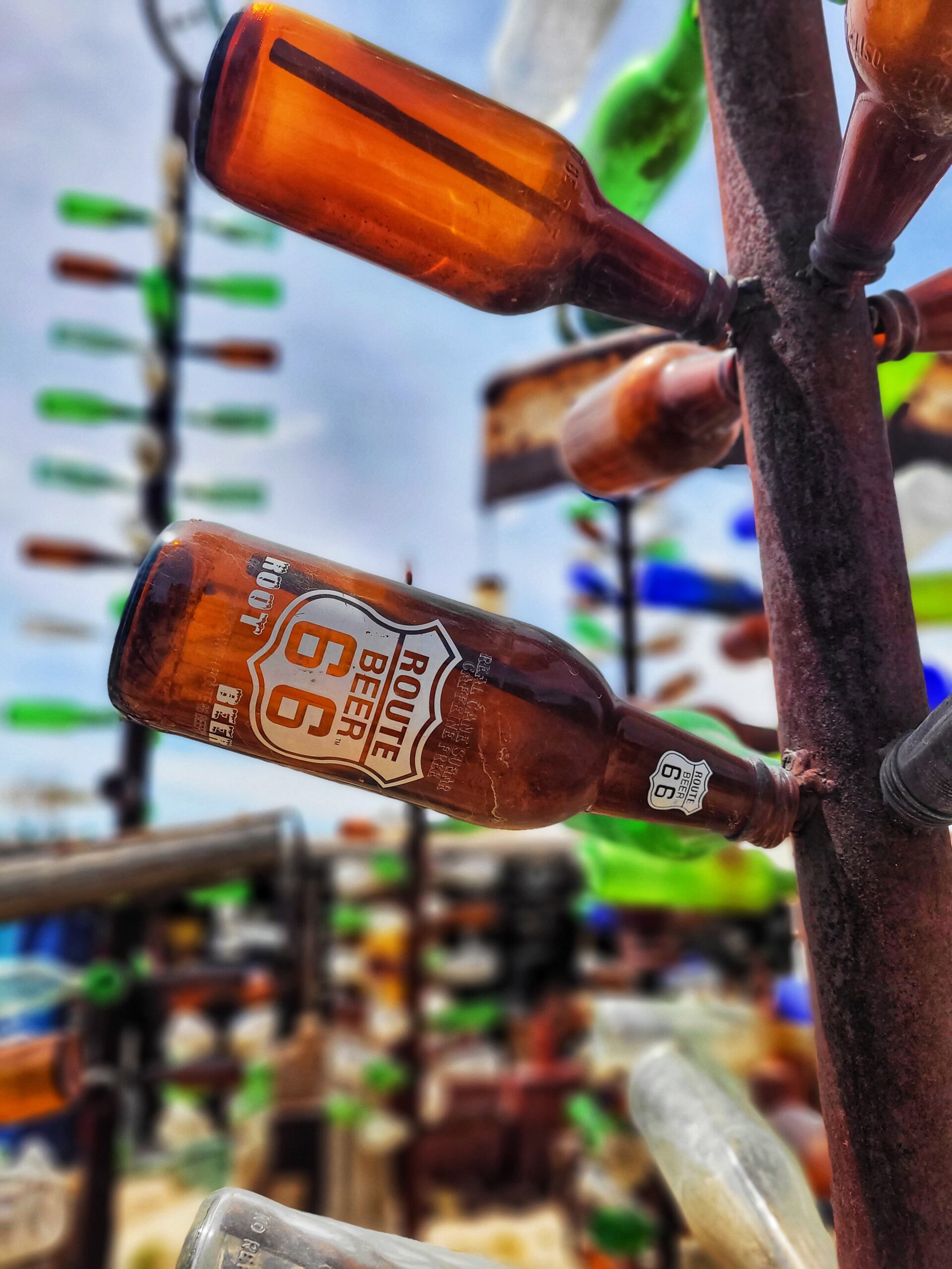 photo of elmer's bottle tree ranch