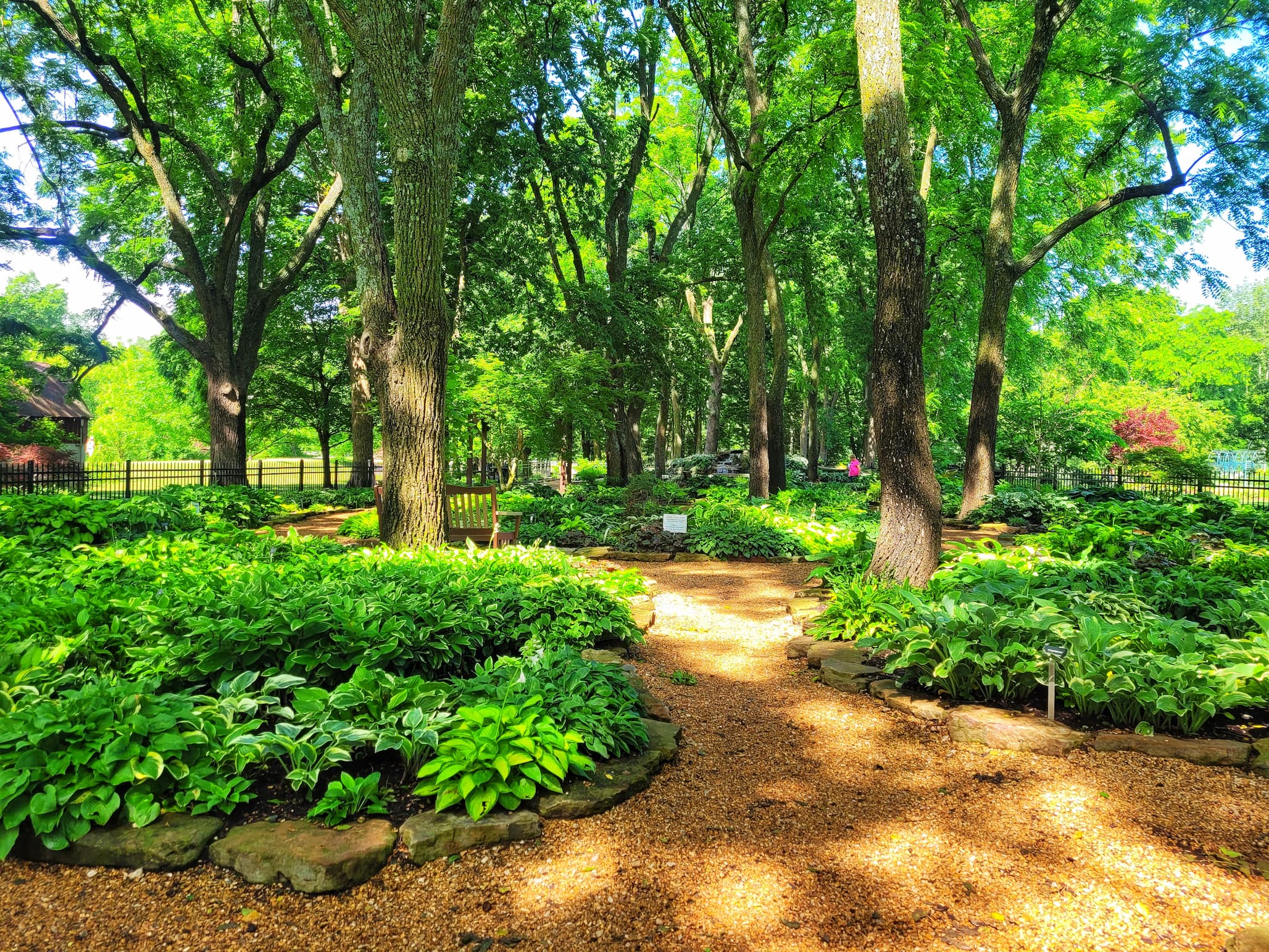 photo of springfield botanic garden