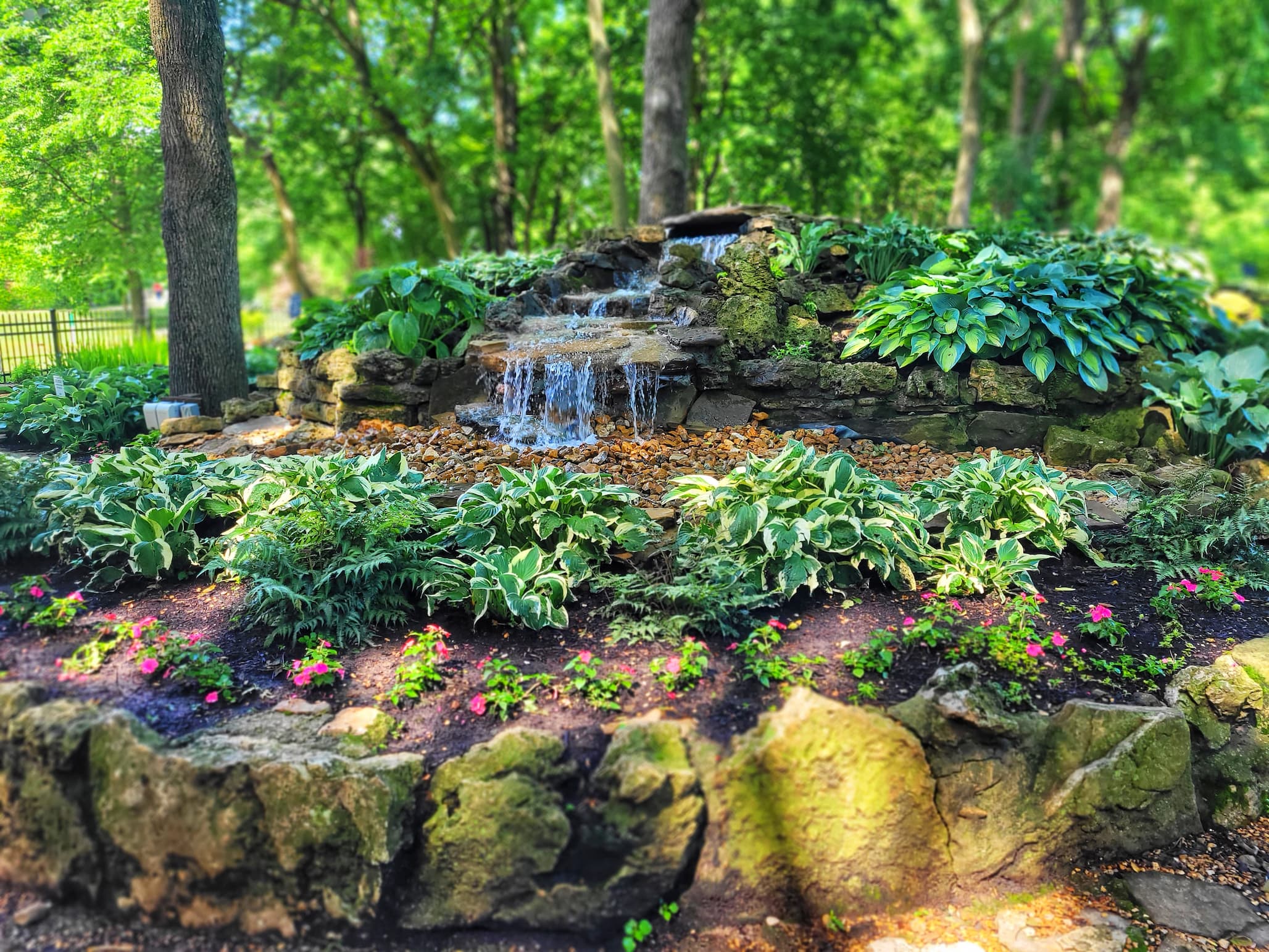 Springfield Botanical Gardens: What to See & Tips for Visiting