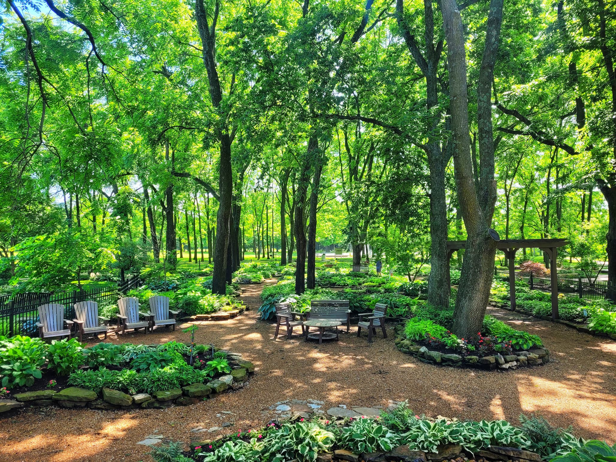 photo of springfield botanic garden hosta garden