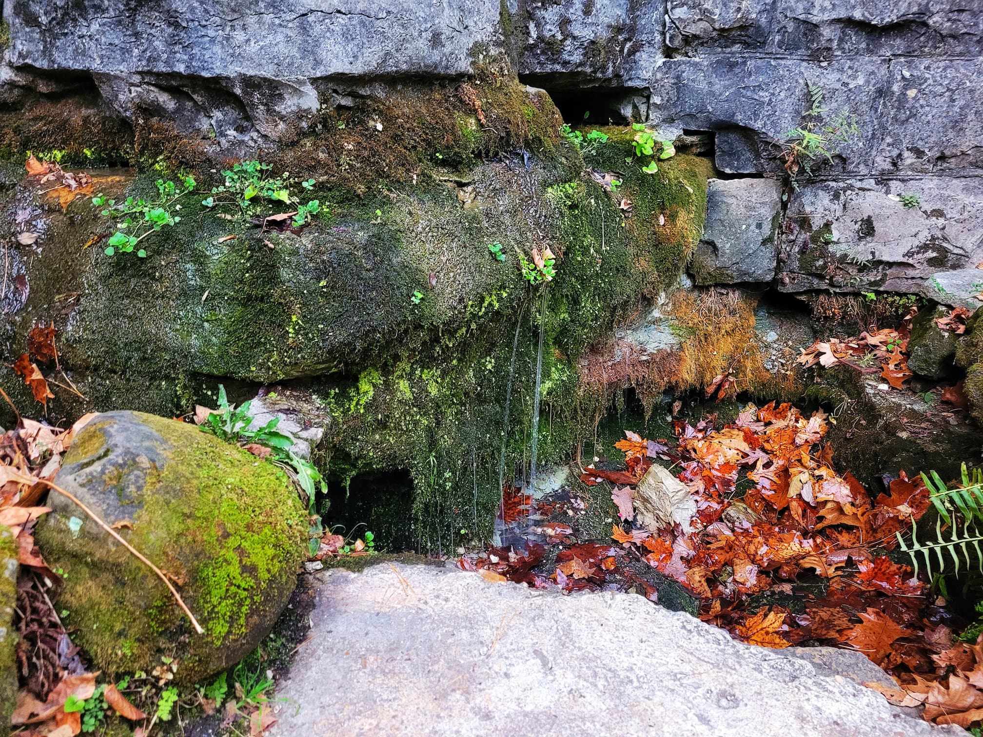photo of sweet spring in eureka springs